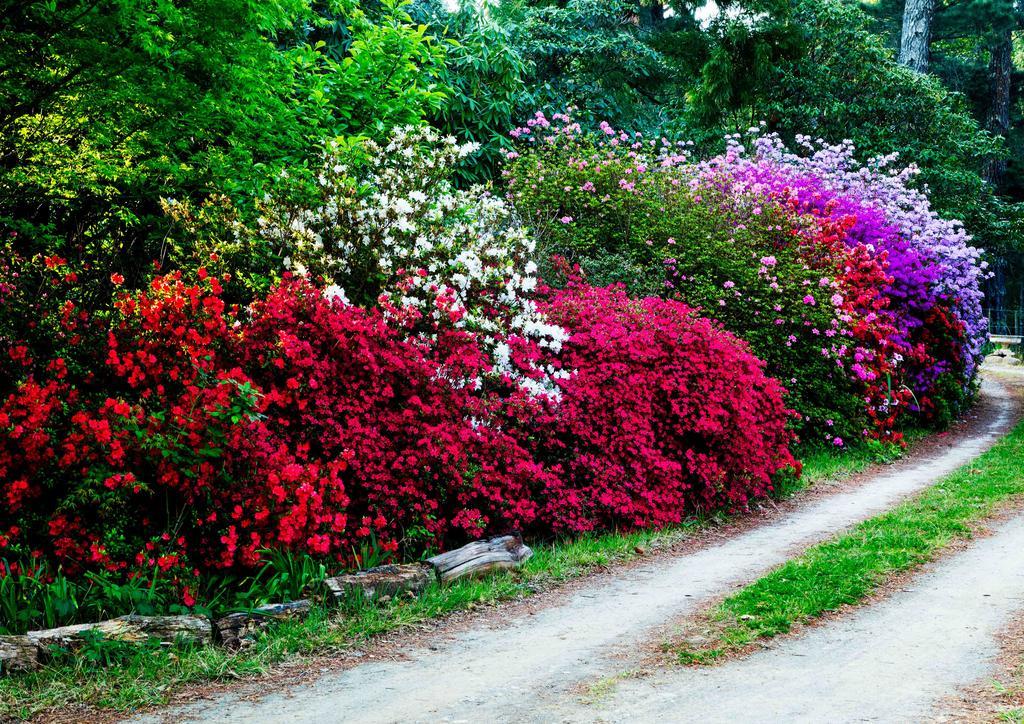 Back O' The Moon Holiday Cottage Hogsback Exterior foto